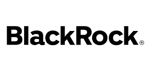 You are currently viewing BlackRock Smaller Companies Trust