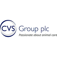 Read more about the article CVS Group plc