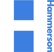 You are currently viewing Hammerson plc