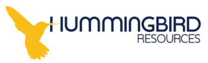 Read more about the article Hummingbird Resources plc