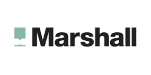 Read more about the article Marshall Motor Holdings plc