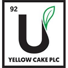 Read more about the article Yellow Cake plc